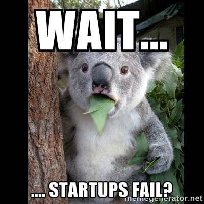 Startups fail?